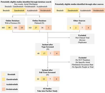 Bruton tyrosine kinase inhibitor-related atrial fibrillation and its implications in the treatment of B-cell lymphoma